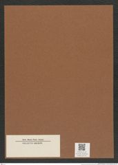 Diatomeae indet. Zeichnungen Sammlung Grunow Mappe 04175 (Herbarium_W_Grunow_drawings_Folder_04175)